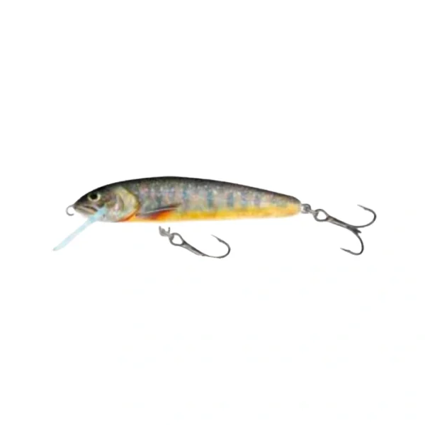Señuelo Salmo Minnow Sinking LCR