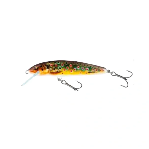 Señuelo Salmo Minnow Sinking RBR