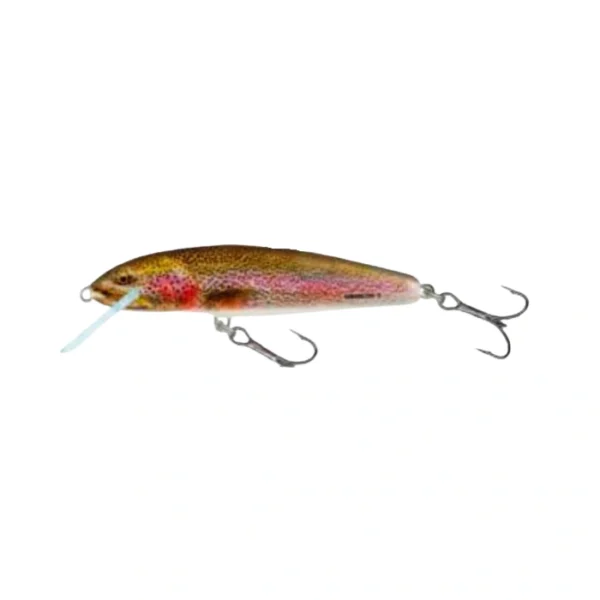 Señuelo Salmo Minnow Sinking RBT